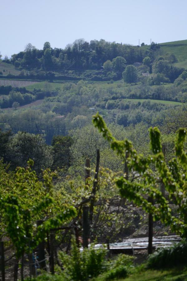 Gite Les Pins Montchenu ภายนอก รูปภาพ